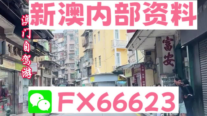 新奥精准免费资料提供，探索与启示，新奥精准免费资料探索，启示与分享