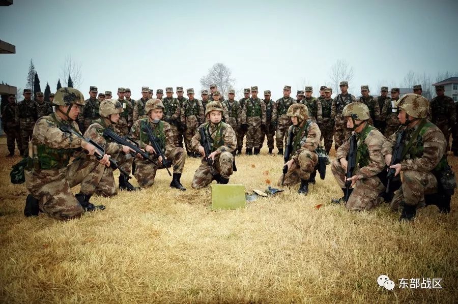 新兵下连集训，锤炼意志，锻造未来战士，新兵下连集训，锤炼意志，塑造未来战士精锐