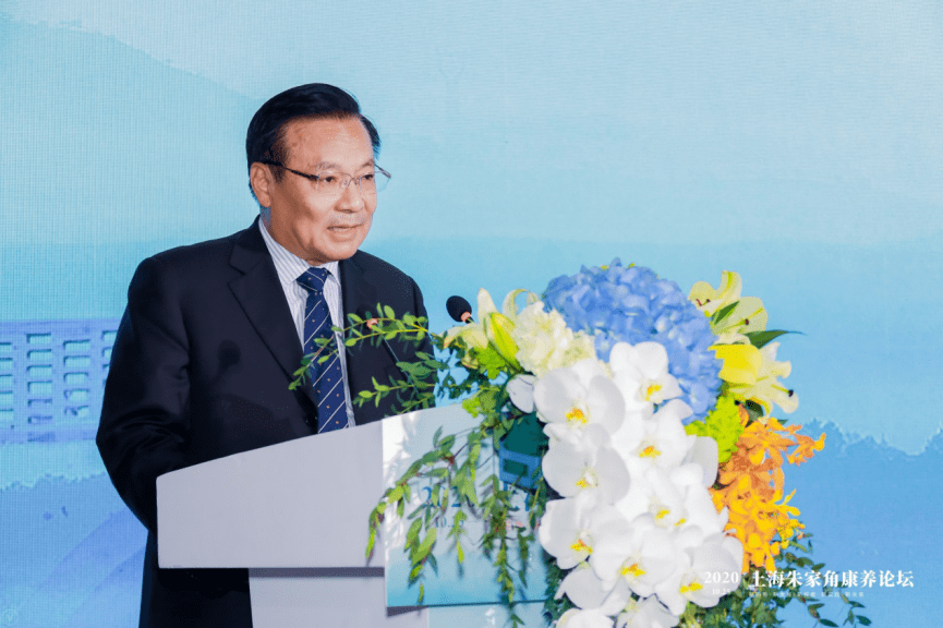 2020年总后勤部部长，职责与成就，2020年总后勤部部长职责与成就概览