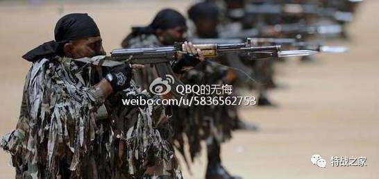 巴基斯坦81式步枪，历史、技术特点与现代应用，巴基斯坦81式步枪，历史沿革、技术特性及现代应用探究