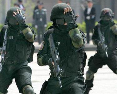 中国人民武装警察部队特种臂章，荣耀与使命的象征，中国人民武装警察部队特种臂章，荣耀与使命的徽章