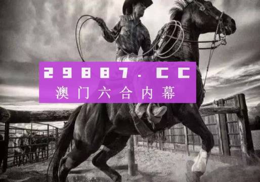 澳门正版精准免费大全，探索与揭秘，澳门正版精准免费大全，揭秘与探索之旅