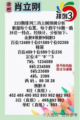 精选三肖3码公开