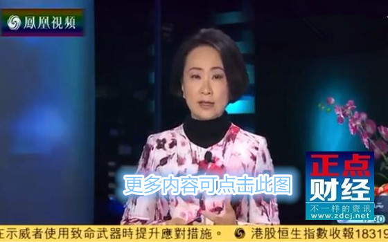 凤凰卫视财经节目，深度洞察全球经济动态的关键窗口，凤凰卫视财经节目，全球经济动态的深度洞察之窗