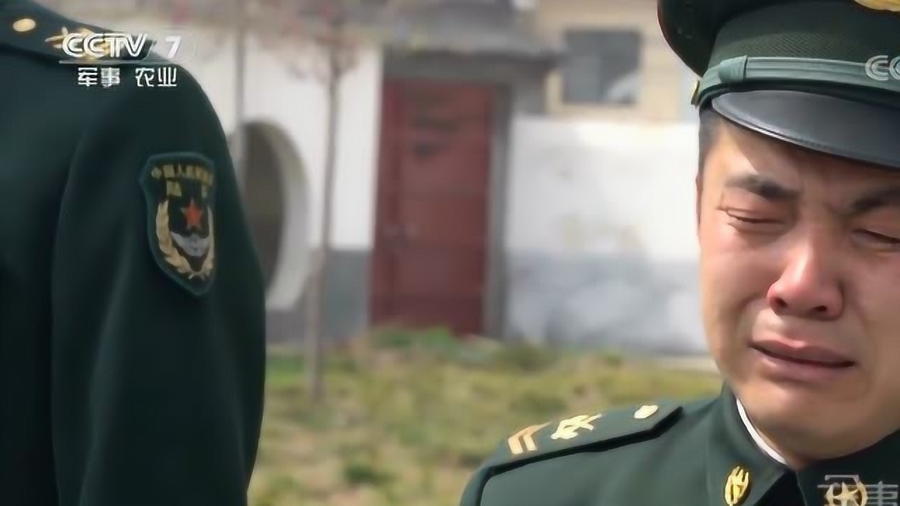 澳门 第531页