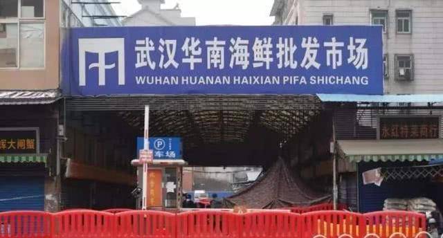 华南海鲜市场老板，创业历程与经营之道，华南海鲜市场老板的成功之路，创业历程与经营之道探索