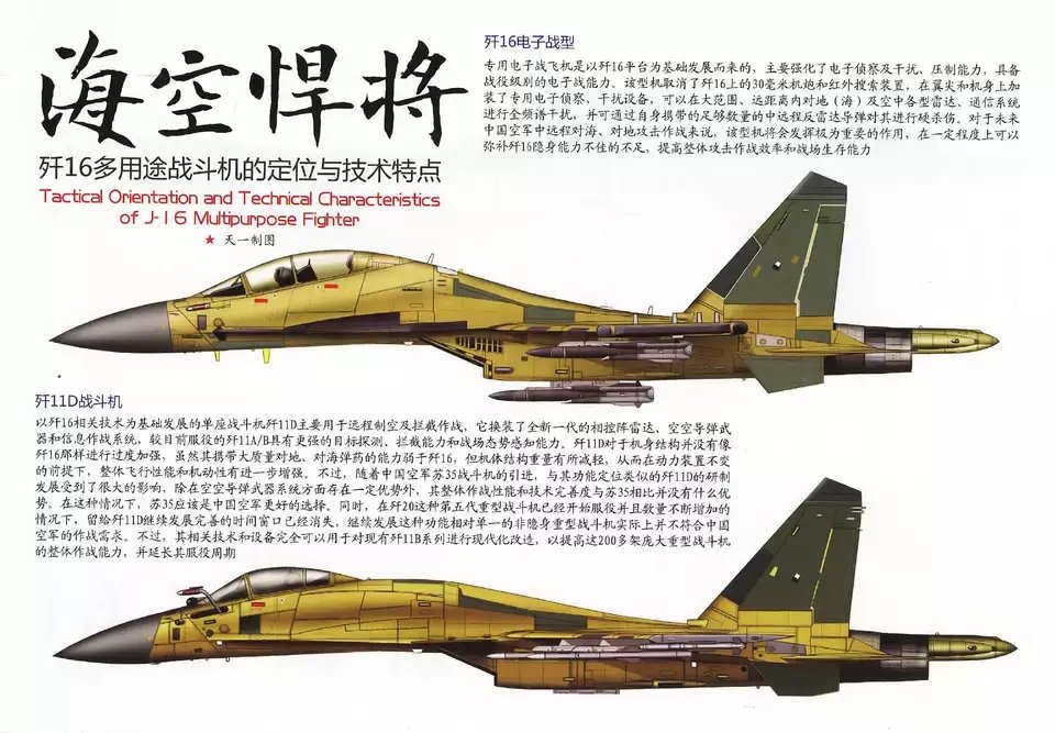 中国歼-11D性能参数深度解析，中国歼-11D性能参数全面解析