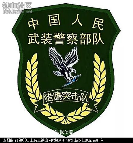 铁血网Logo深度解析，铁血网Logo设计深度解析