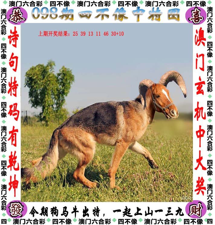 新澳2025今晚开奖资料四不像，探索与解析，新澳2025今晚开奖资料深度解析与探索四不像现象