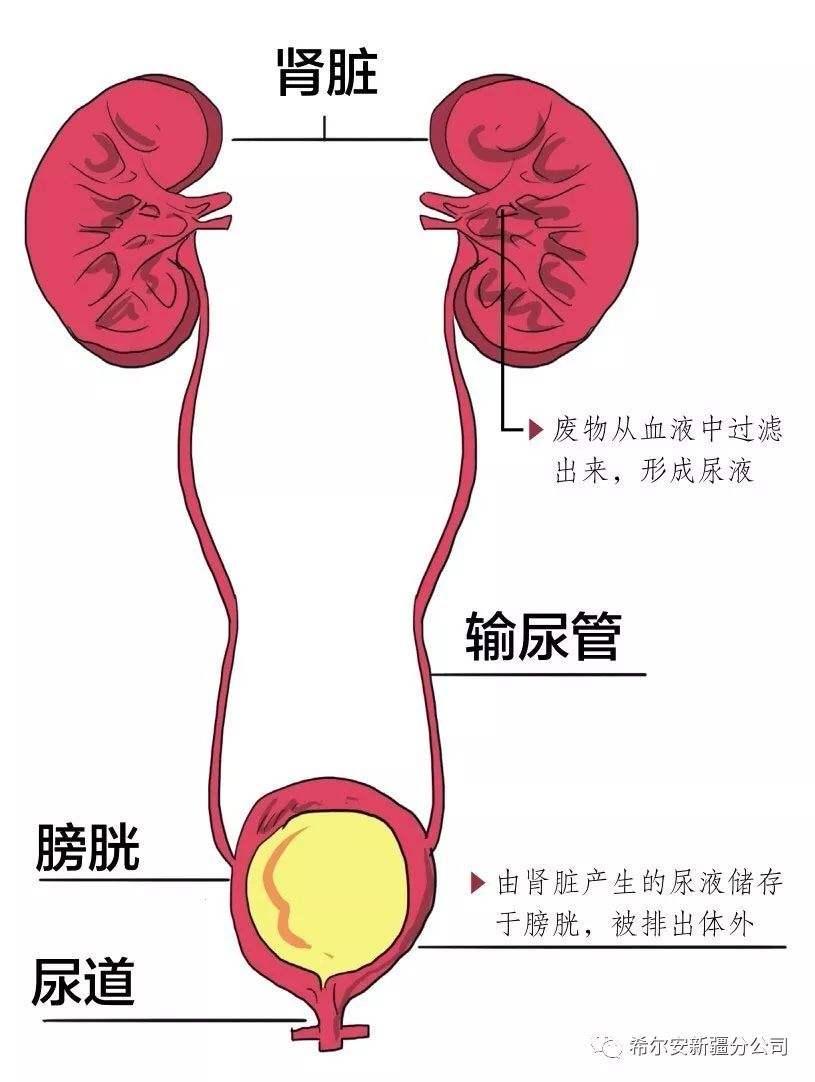 中国最新消息24小时，动态与进展，中国最新消息24小时热点速递，动态与进展概览