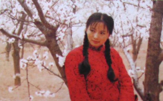 洛阳二炮部队一览表，历史、职责与荣誉的展现，洛阳二炮部队概览，历史职责与荣誉一览表