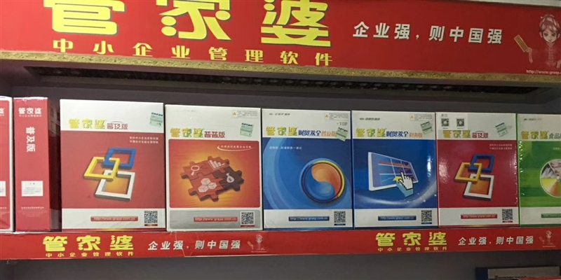 管家婆正版管家婆今天的独特价值与应用前景，管家婆正版软件，今日独特价值与应用前景展望