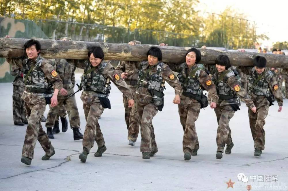 探究中国陆军第38集团军的现代化转型与战略价值，中国陆军第38集团军现代化转型与战略价值探究