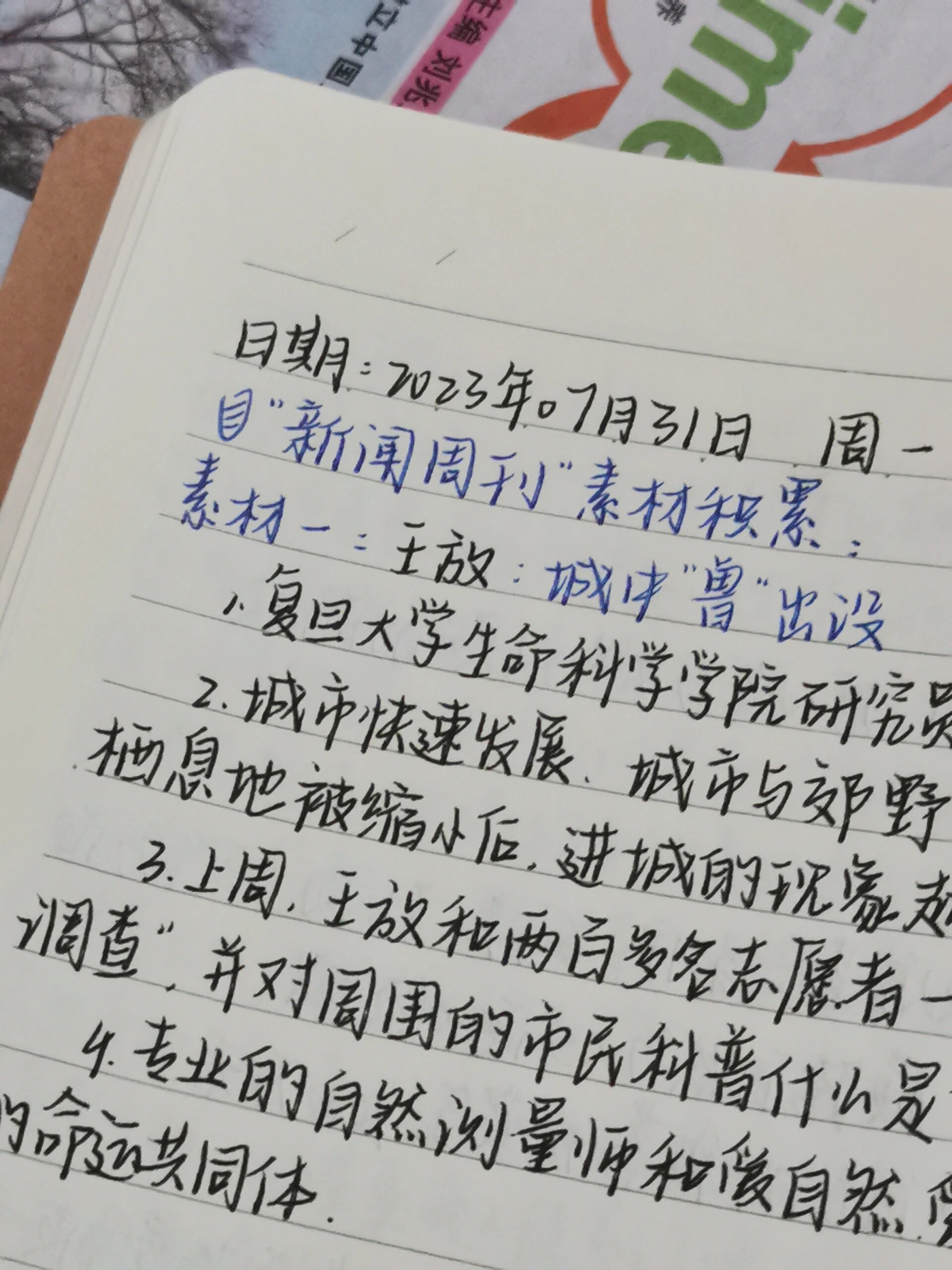 最近一周新闻摘抄概览，最近一周新闻摘要概览，全球时事速递