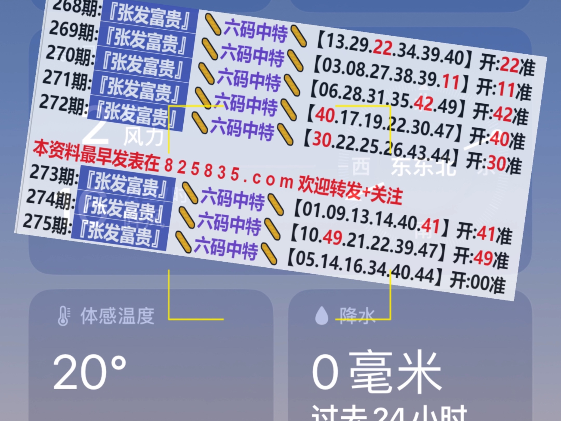 澳门彩票开奖结果查询表，探索新澳门开奖记录的魅力与乐趣，澳门彩票开奖结果查询表，探索魅力四溢的新澳门开奖记录