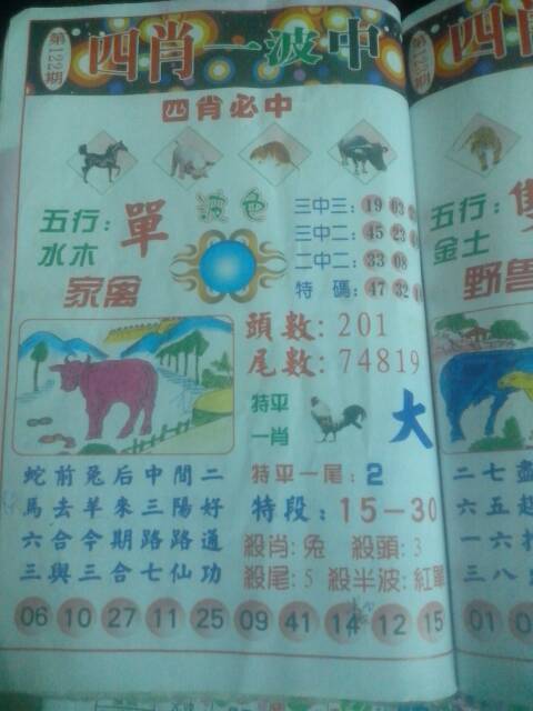 王中王98期生肖