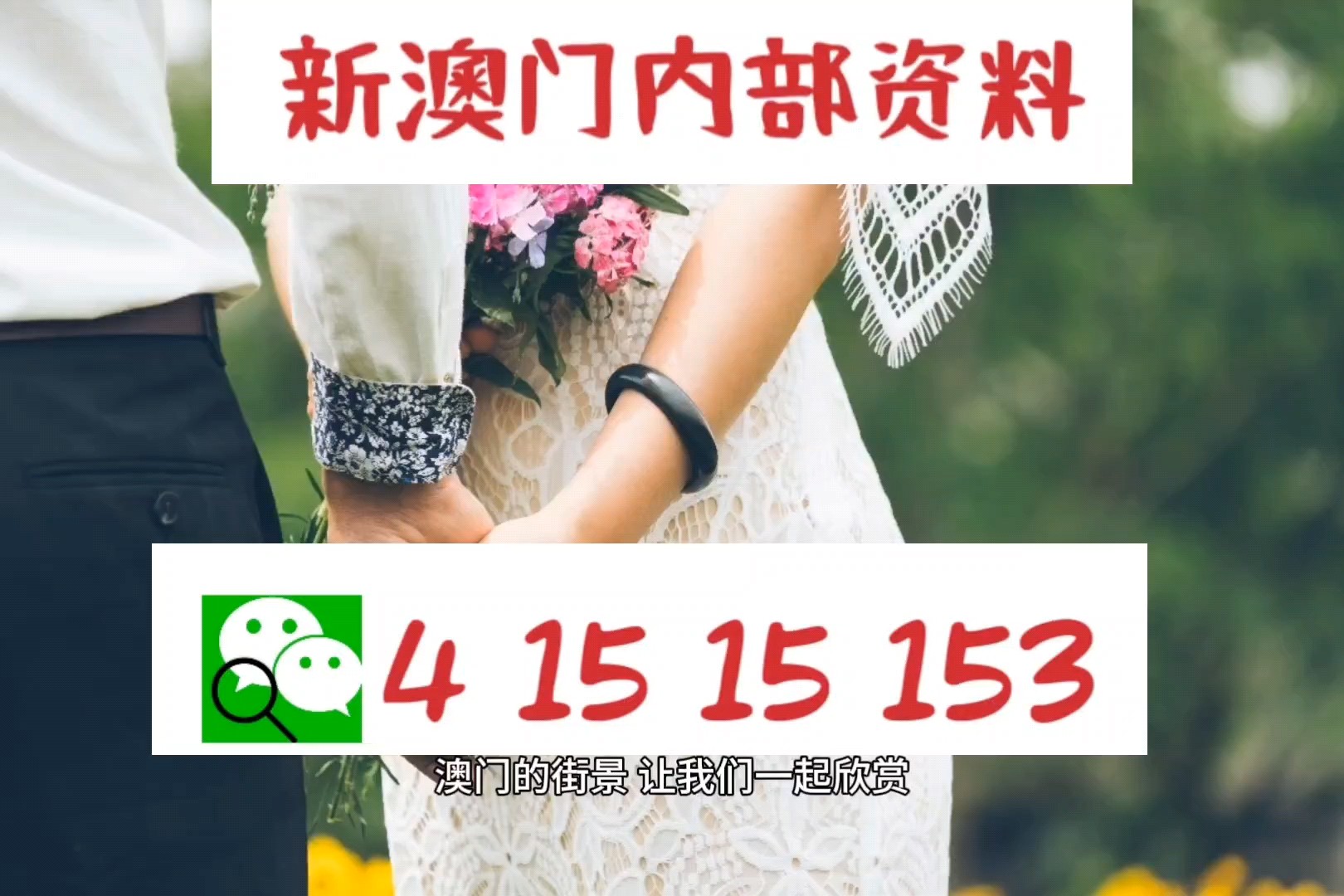 澳门精准免费资料