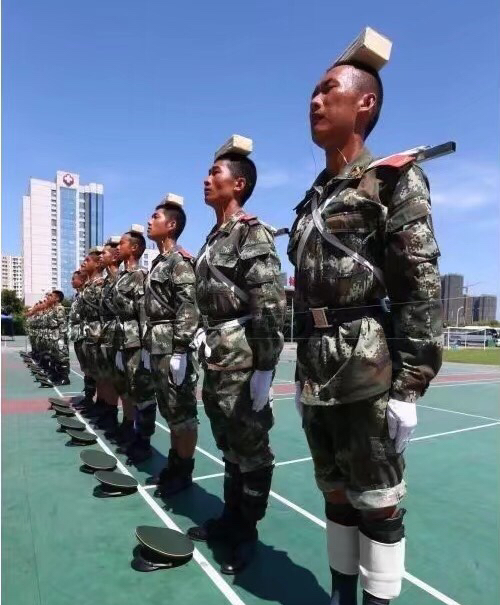 老兵新兵相遇，训练场上的传承与挑战，训练场上老兵新兵的传承与对决，传承与挑战并行