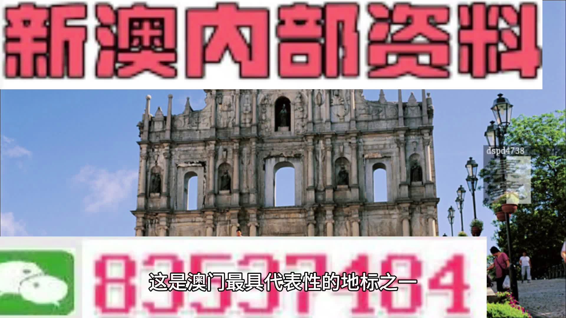 新澳门正版资料免费看，探索与发现，探索与发现，新澳门正版资料免费看