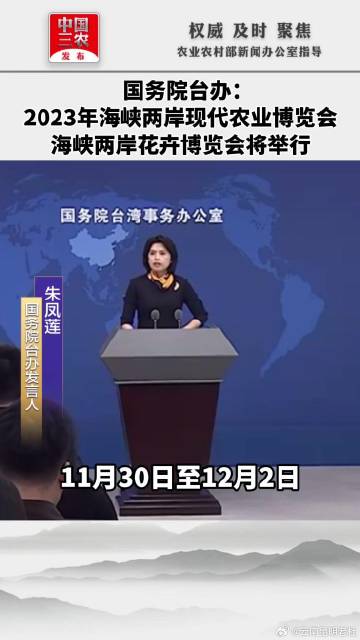 海峡两岸新闻深度解析，2023年11月23日的新动态，海峡两岸新闻深度解析，最新动态报道，日期标注为2023年11月23日