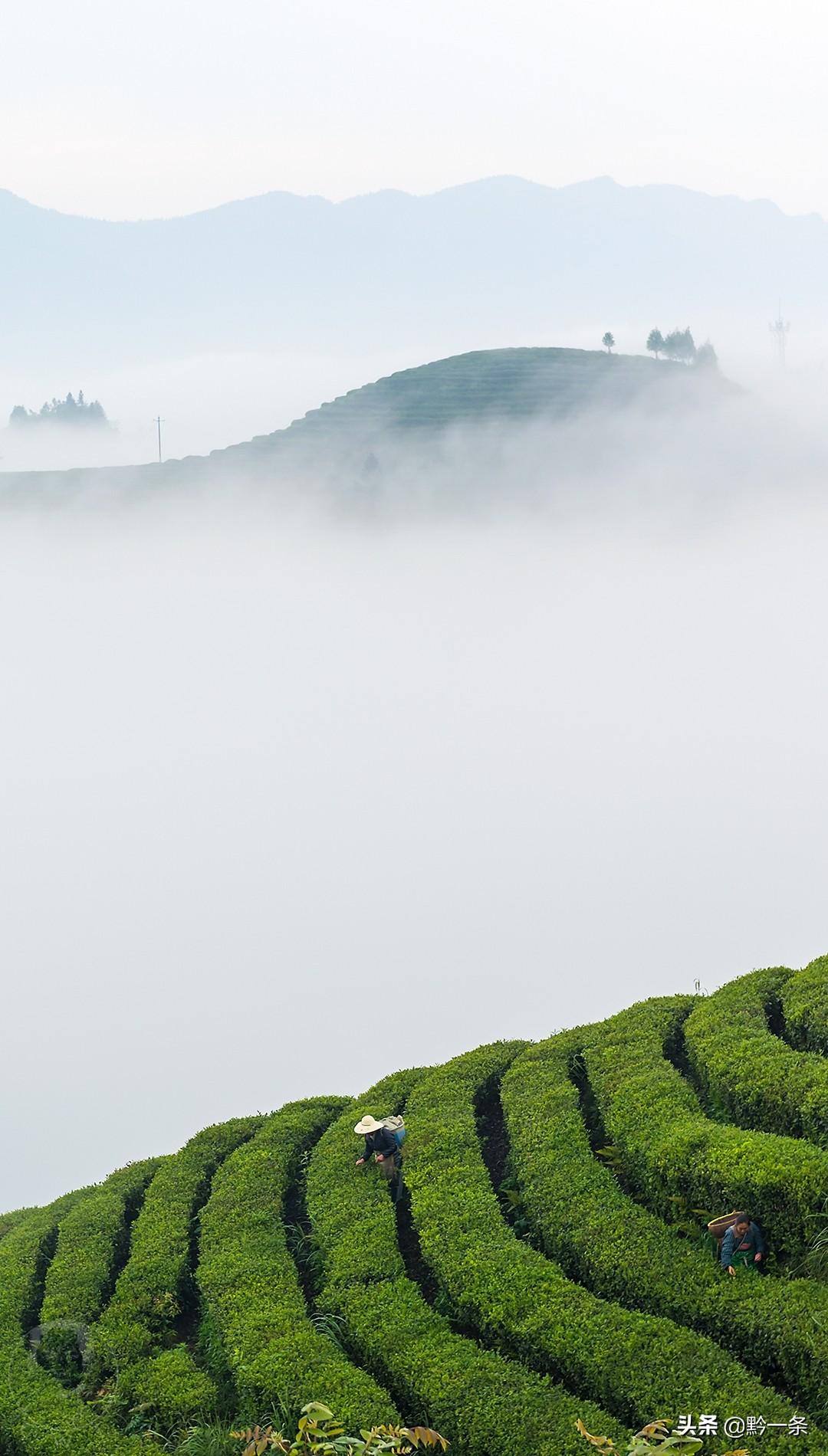 遵义舰，中国海军力量的骄傲与荣耀（关键词，遵义舰107），遵义舰，中国海军力量的骄傲与荣耀（关键词，遵义舰107号）