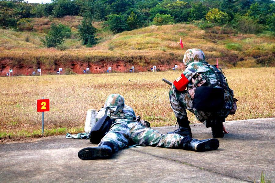 轻武器图片及其介绍，轻武器图片大全及详细介绍