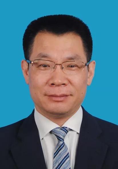 揭秘2024新奥正版资料，免费提供，助力你的成功之路，揭秘2024新奥正版资料，助力成功之路！