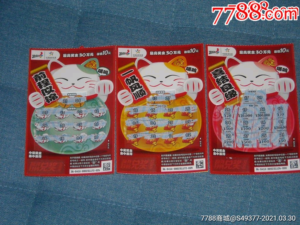 王中王资料一肖中特与招财猫的神秘结合，王中王与招财猫的神秘交融，揭秘资料一肖中的独特结合