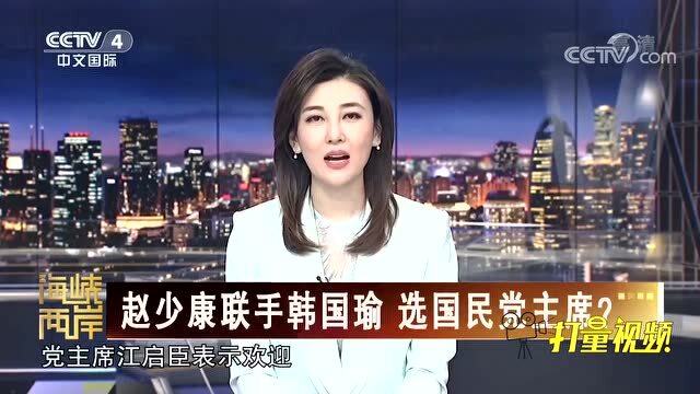 陈凤馨与海峡两岸的文化交流，陈凤馨与海峡两岸文化交流之旅