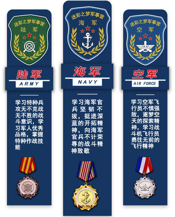 海军哪种兵种最好，深入解析与探讨，海军兵种深度解析，哪种兵种最佳？