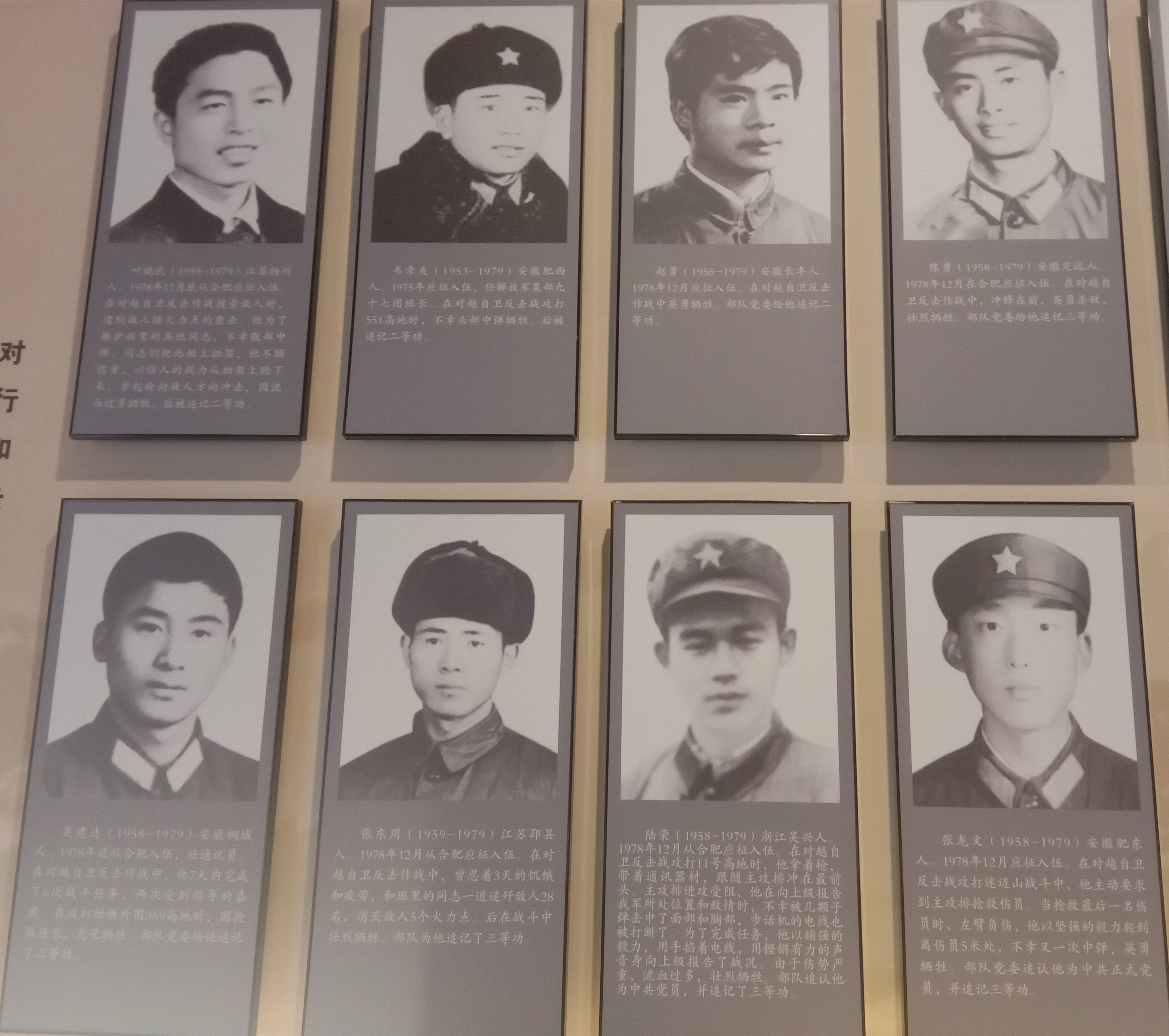 对越自卫反击战英雄名单背后的英勇事迹与民族精神，对越自卫反击战英雄名单背后的英勇事迹彰显民族精神光辉