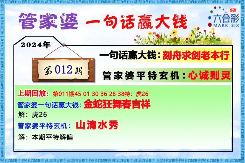 管家婆王中王必中一肖——揭秘神秘预测背后的故事，揭秘管家婆王中王必中一肖的神秘预测故事