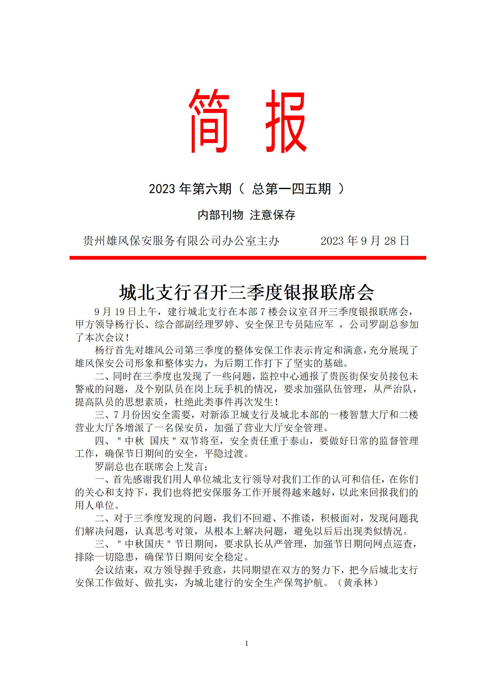 简报模板，高效信息传达的最佳实践，简报模板，高效信息传达的最佳实践指南