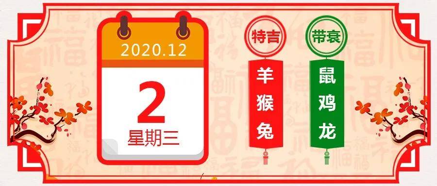 二肖二码，探索与解析，二肖二码，探索与解析的秘密