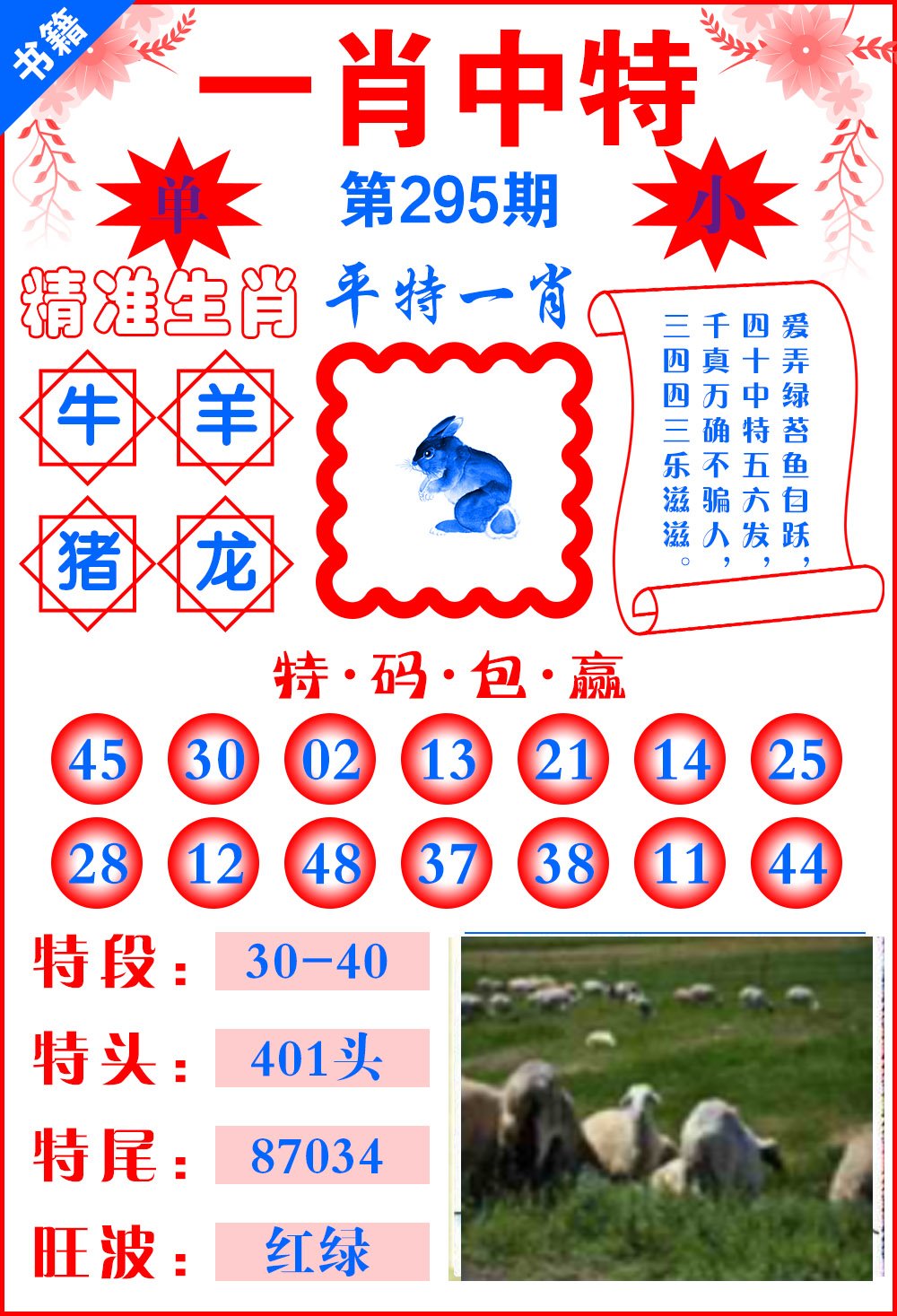 一肖两码图的奥秘与探索，一肖两码图的神秘奥秘与探索之旅