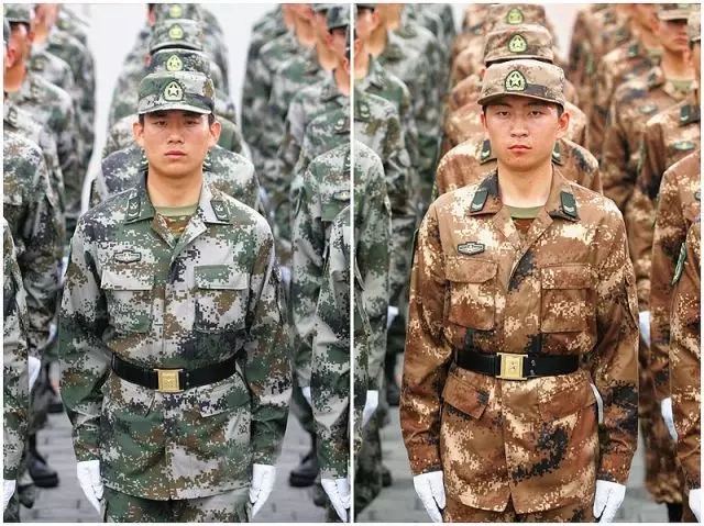 探索丛林中的秘密，87式丛林迷彩服与陆军风采展现，揭秘丛林秘密，87式丛林迷彩服下的陆军风采