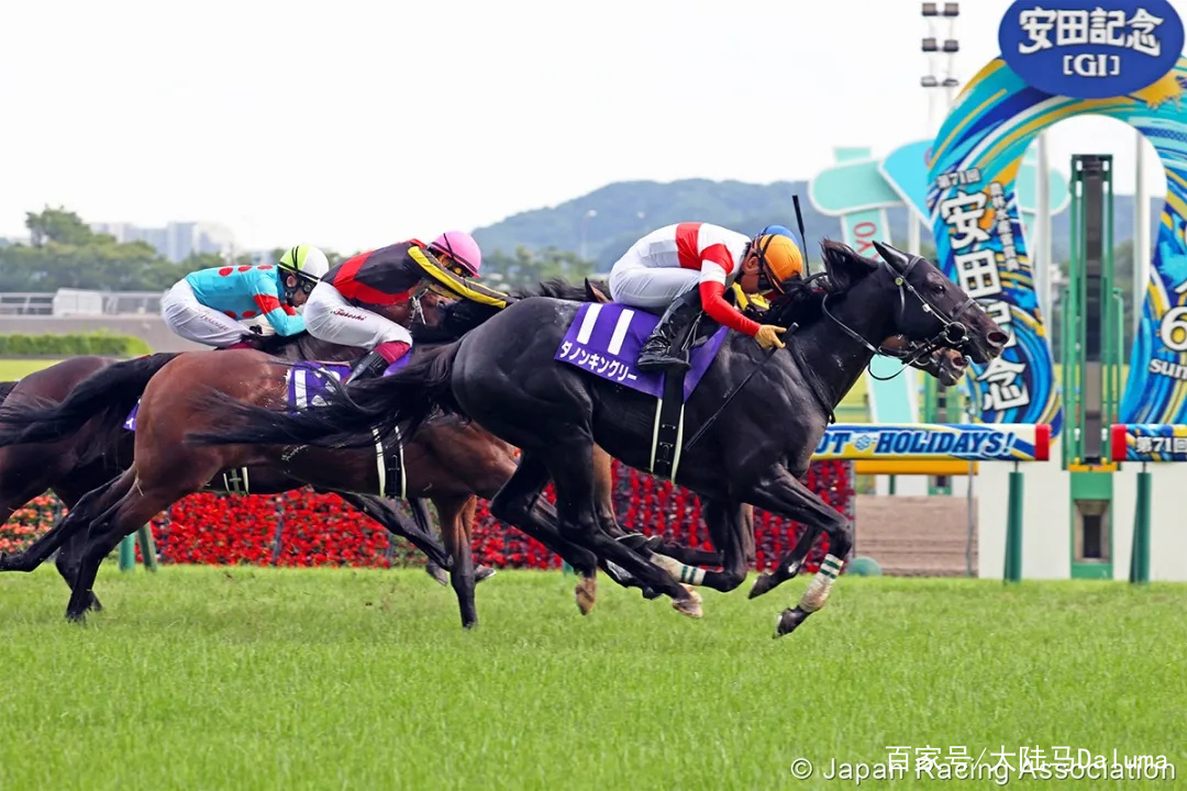 香港王中王一肖特马，探索与解析，香港王中王一肖特马，深度探索与解析