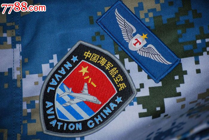 揭秘蓝色臂章背后的兵种身份，揭秘蓝色臂章背后的兵种身份秘密