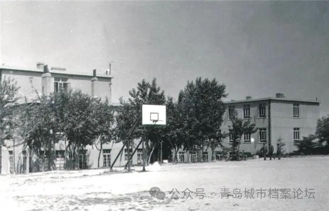 青岛海军二航校，历史沿革与海军人才培养的重要基地，青岛海军二航校，海军历史沿革与人才培养基地的璀璨篇章