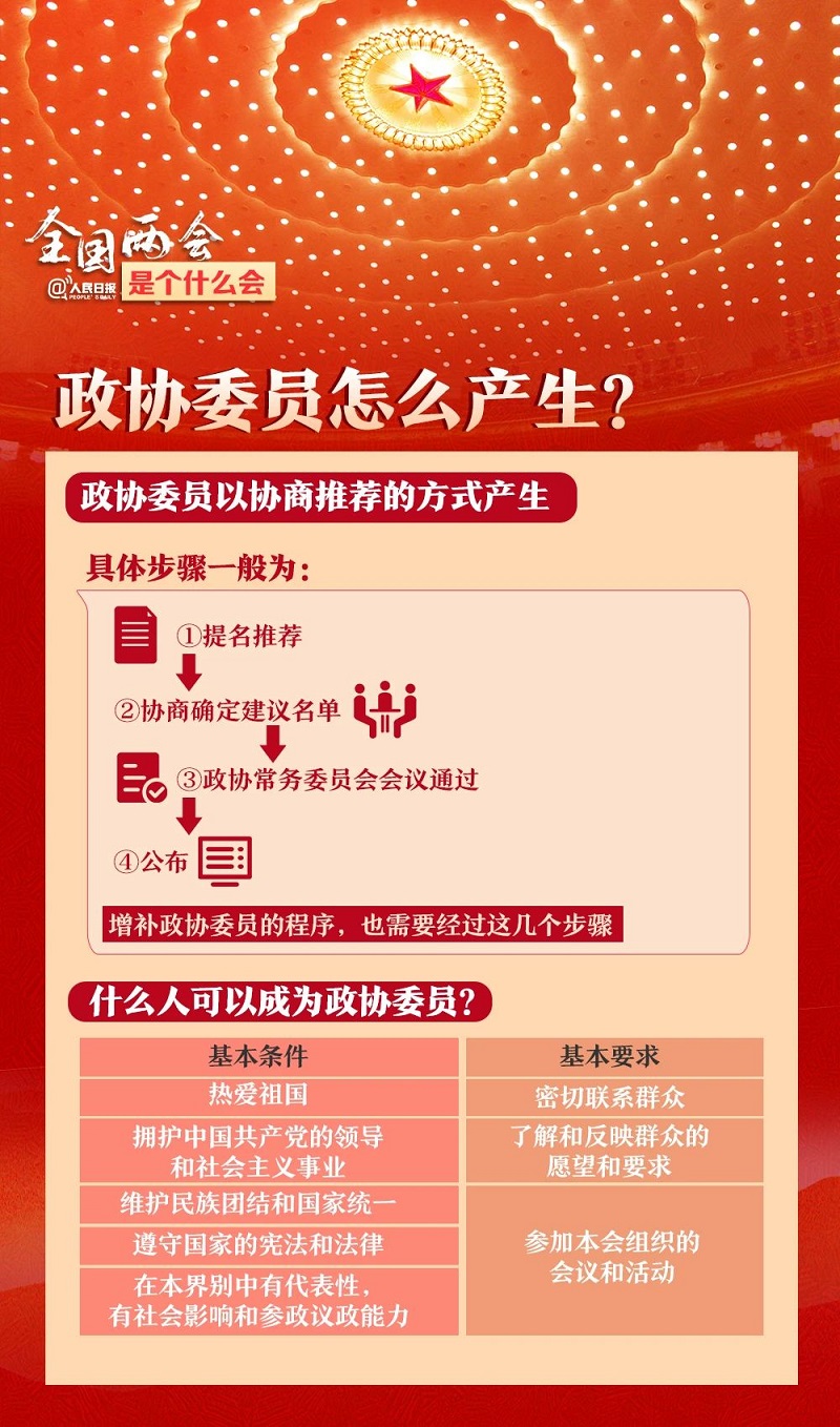 王中王一肖平特四肖，探索与解析，王中王一肖平特四肖，深度探索与解析