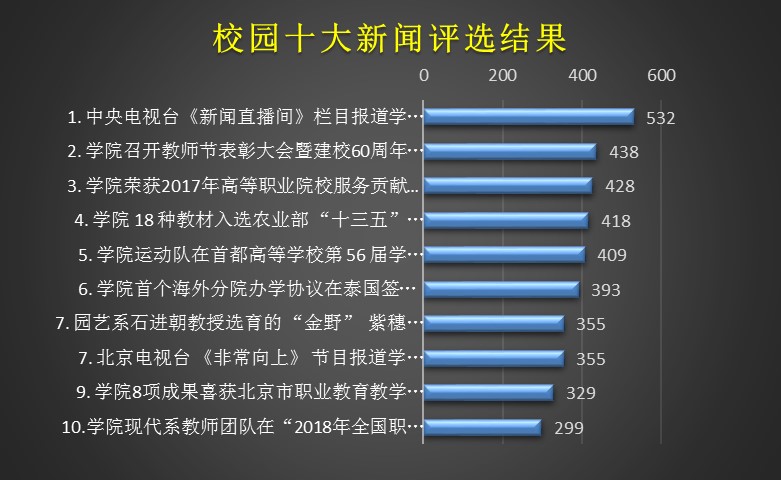 中央新闻13频道直播节目表，全天候的信息盛宴，中央新闻13频道全天候直播节目表，信息盛宴开启