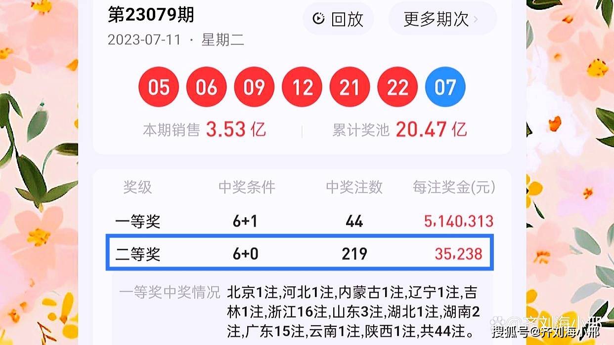 王中王一肖平特开奖结果——揭秘彩票背后的故事，揭秘彩票背后的故事，王中王一肖平特开奖结果揭晓
