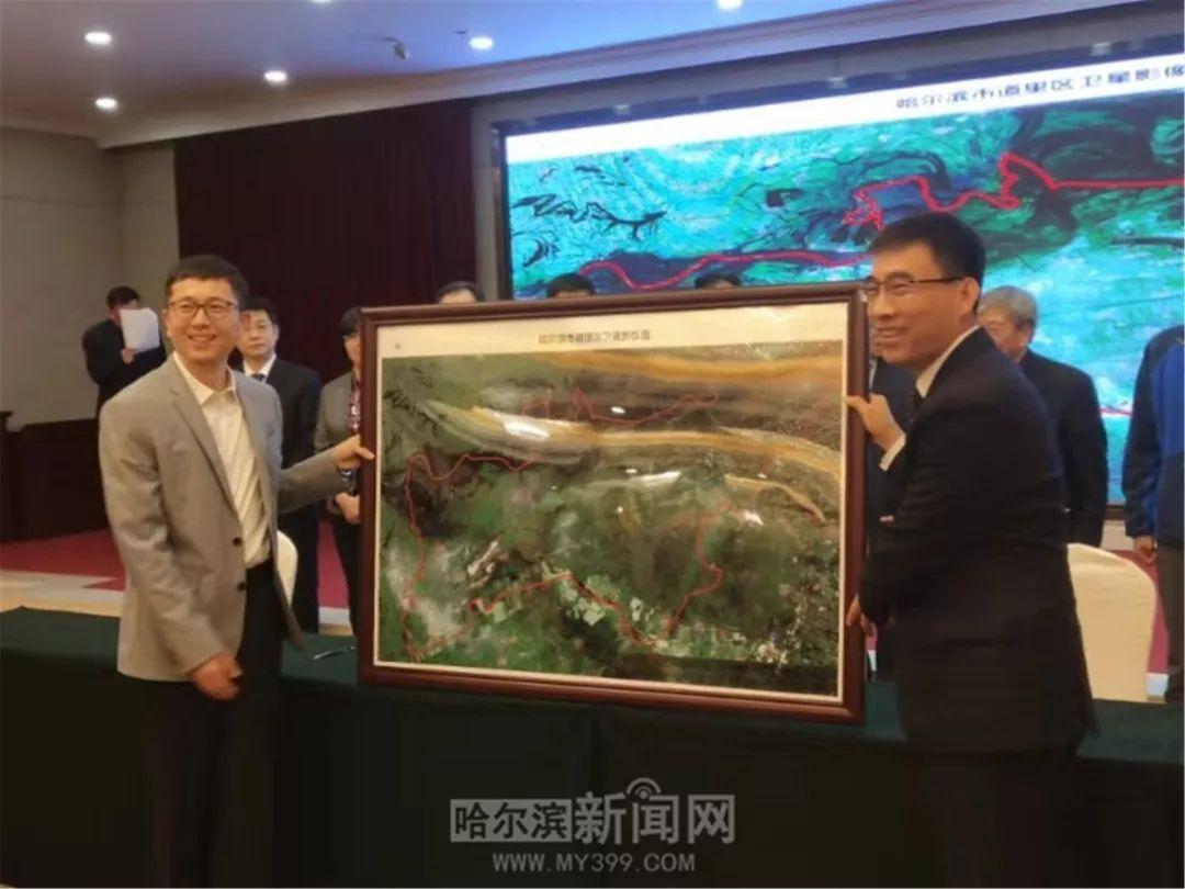 中国国际战略网，深度解析与探讨，中国国际战略网深度解析与探讨专题论坛