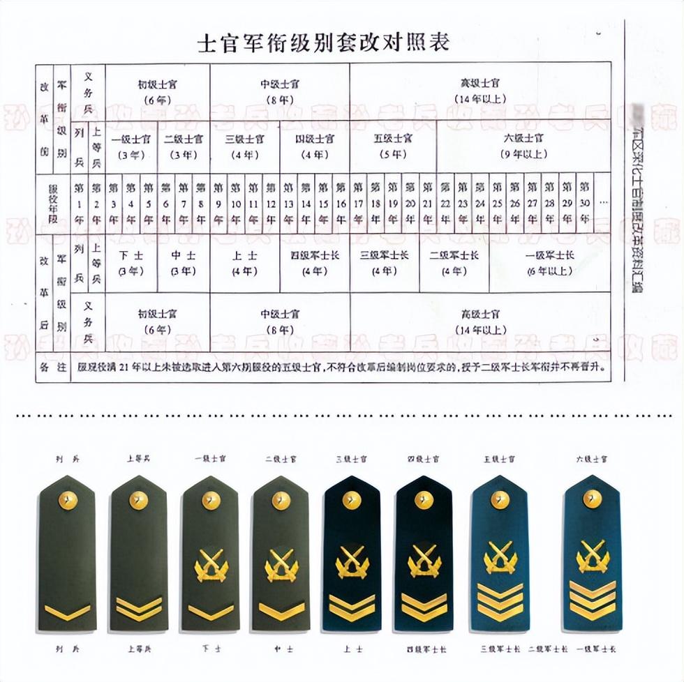 部队军士改革最新消息，重塑军队力量，推动现代化转型，部队军士改革最新动态，重塑力量推动现代化转型