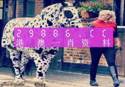 香港王中王一肖中特囹库，探索与解析，香港王中王一肖中特囹库，深度探索与解析