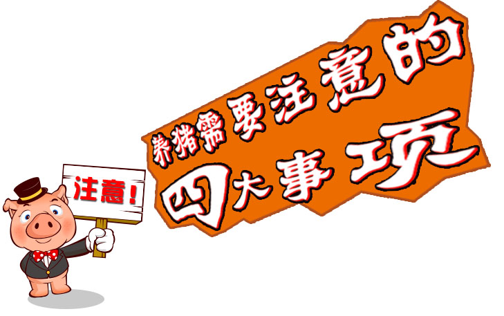 二四六王中王幽默一肖，探寻神秘与欢乐的交融，探寻神秘与欢乐的交融，一肖中的二四六王中王幽默之旅