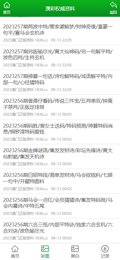 澳门正版资料大全，探索2025年的澳门，澳门正版资料大全，揭秘未来澳门展望2025年风采