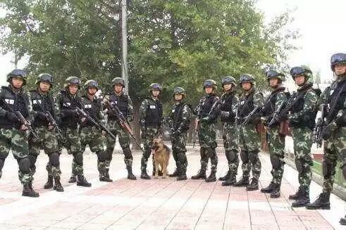 中国人民武装警察部队特种警察学院，211工程的卓越体现，中国人民武装警察部队特种警察学院，211工程的璀璨明珠