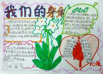 歼八系列手抄报，探索中国空军的力量之源，歼八系列手抄报，揭秘中国空军力量之源