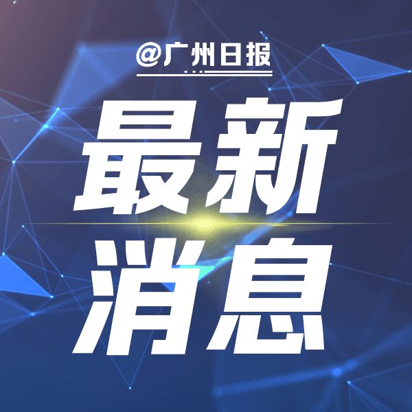 最新消息，已无生命体征——深度探讨与应对，无生命体征，深度探讨与应对最新消息
